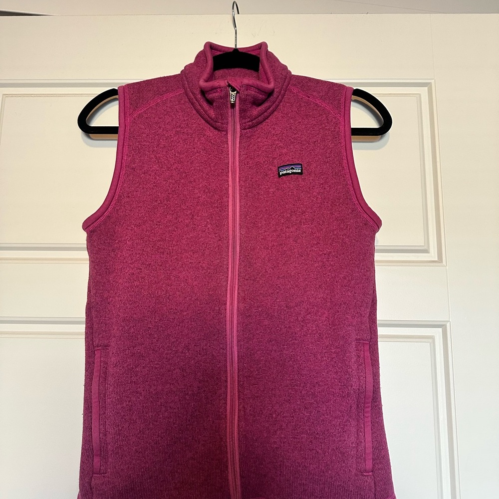 Patagonia Better Sweater Fleece Vest
